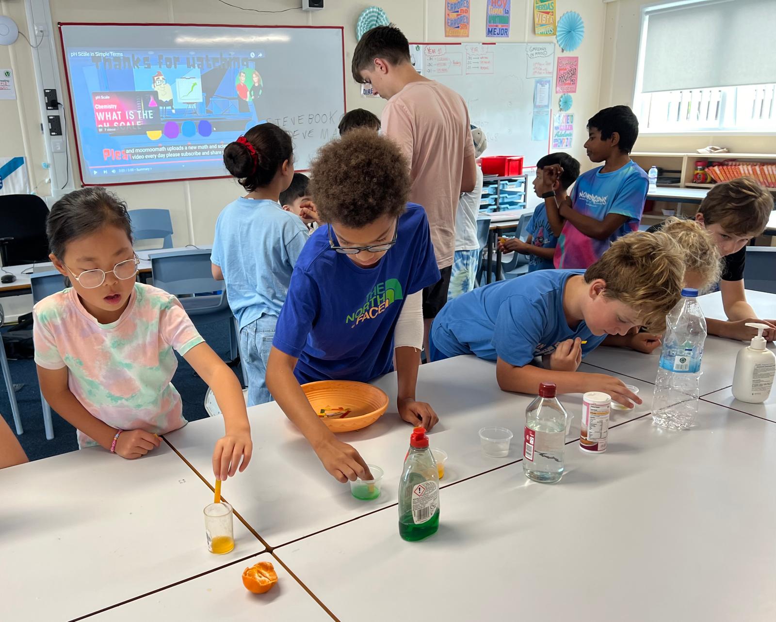 Testing the pH Scale